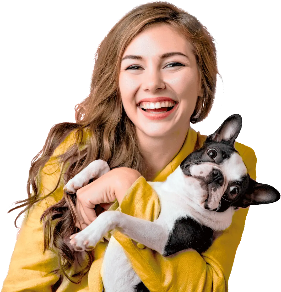 My Pets Clínica Veterinária